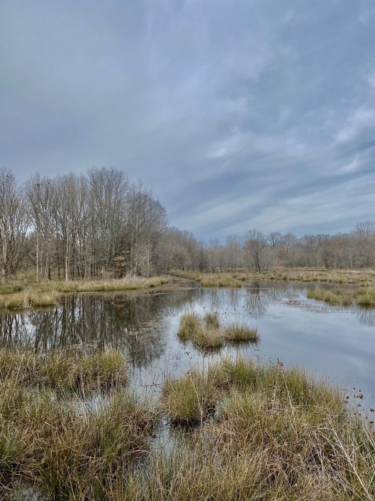 Little Sugar Creek Greenway