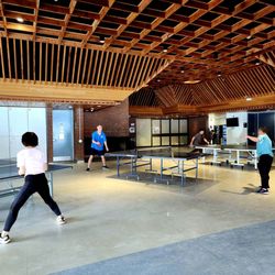 Earl Bales Community Centre - Free ping pong