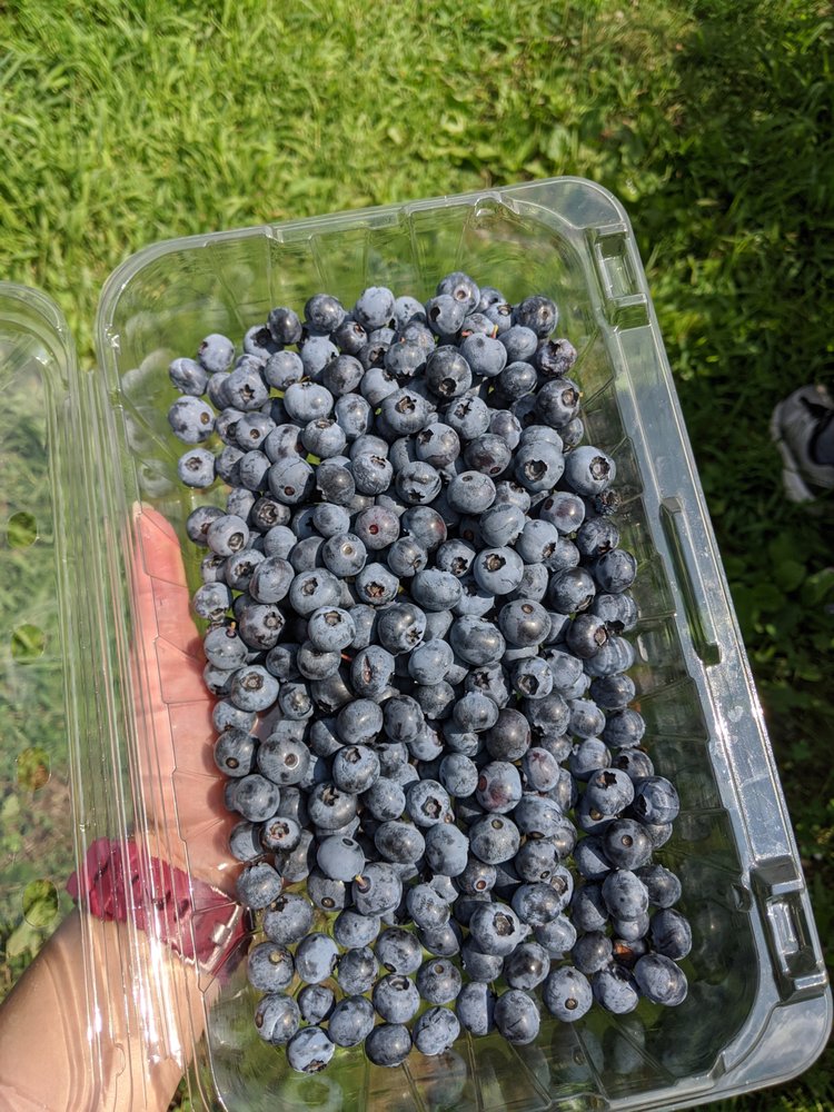 BOBWHITE ACRES Updated October 2024 22 Photos & 21 Reviews 3879 E Mill Hill Rd