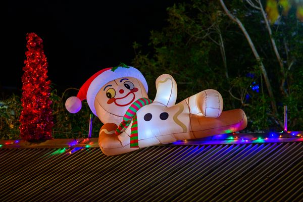 Deck the Halls by null