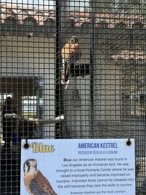 Agua Hedionda Lagoon Foundation (Discovery Center) by null