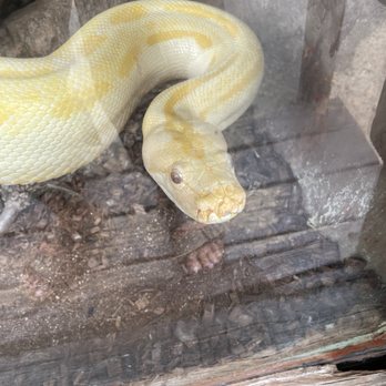 Heritage Park Zoological Sanctuary - Zoos Near Me - Prescott, Arizona