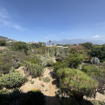 El Jardín Etnobotánico - Botanical Gardens Near Me - Oaxaca, OAX