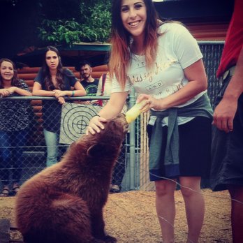 Yellowstone Bear World - Me feeding a bear cub! - Zoos Near Me - Rexburg, Idaho