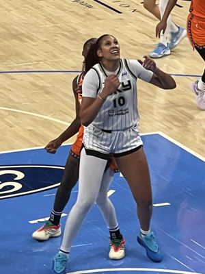 Wintrust Arena by null