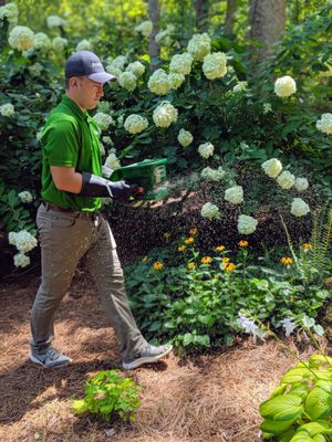 Procare Pest Services