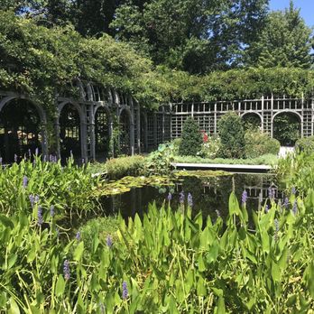 Albemarle Estate - Terrace - Hotels Near Me - Charlottesville, Virginia