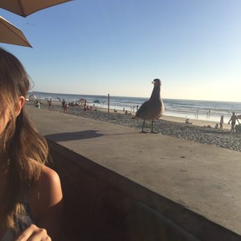 Poseidon on the Beach - Nature hahaha - Seafood Near Me - Del Mar, California Poseidon on the Beach - Nature hahaha - Seafood Near Me - Del Mar, California
