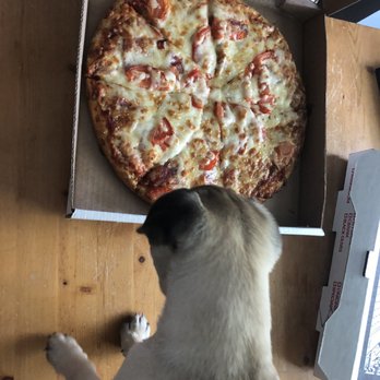Starvin Marvin - Italian Pizza - Pizza Near Me - Gaithersburg, Maryland Starvin Marvin - Italian Pizza - Pizza Near Me - Gaithersburg, Maryland