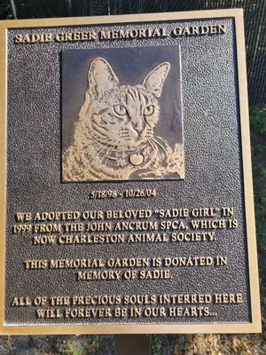 Charleston Animal Society by null