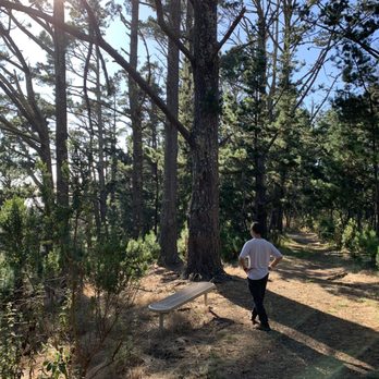 Jacks Peak County Park - At the bench, looking for a view - Parks Near Me - Monterey, California