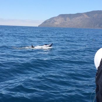 Catalina Tours - Historical Tours Near Me Catalina Tours - Historical Tours Near Me