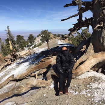 Mount Baden-Powell Trail - Hiking Near Me