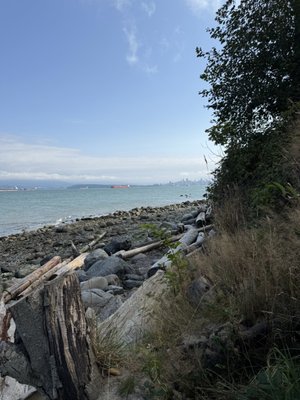 Pacific Spirit Regional Park by null