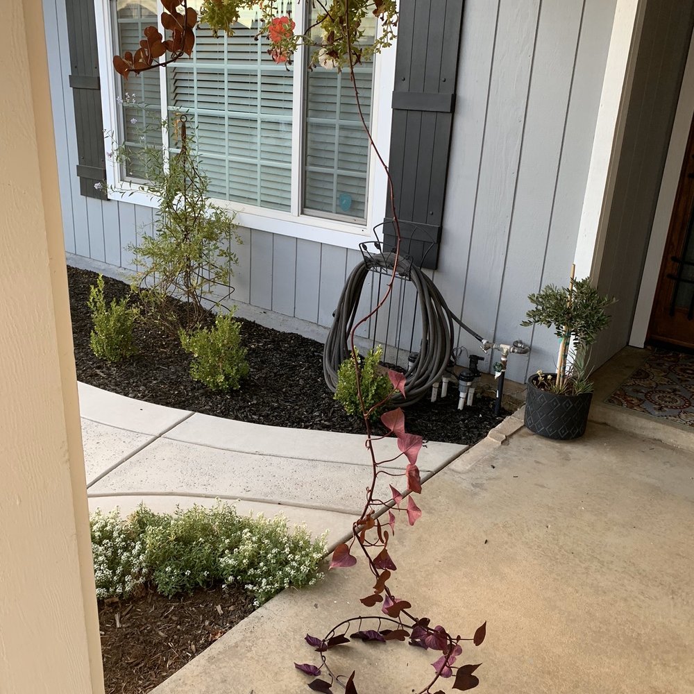 Guzman Concrete and Landscaping - Patio - Masonry/Concrete Near Me Guzman Concrete and Landscaping - Patio - Masonry/Concrete Near Me