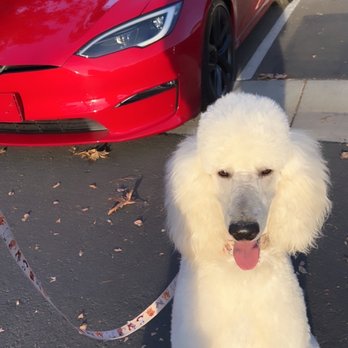 Tesla - Car Dealers Near Me - Carlsbad, California