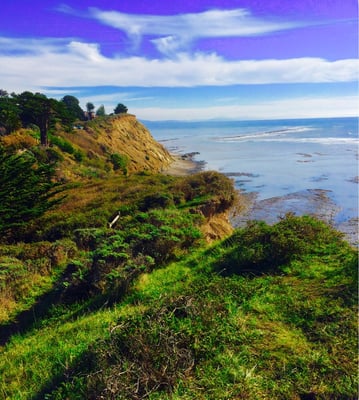 Bolinas by null