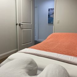 Total Body Experience