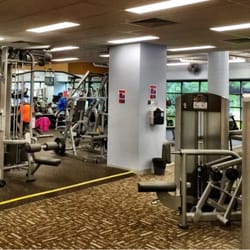 Anytime Fitness Parramatta South - Weighted area
