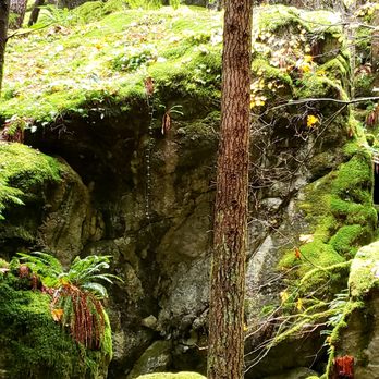 Little Si - I feel like a tiny dinosaur should pop out from behind the rocks - Hiking Near Me