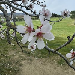 Golf Club de Carcassonne - Spring is springing
