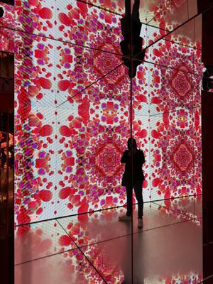 Moco Museum by null