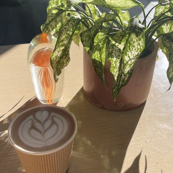 Provided Coffee - Mocha with oatmilk - Coffee & Tea Near Me - Charlotte, North Carolina Provided Coffee - Mocha with oatmilk - Coffee & Tea Near Me - Charlotte, North Carolina