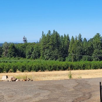 Boa Vista Orchards - Great location with beautiful scenery - Fruits & Veggies Near Me - Placerville, California