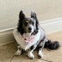 Foster Creek Veterinary Hospital
