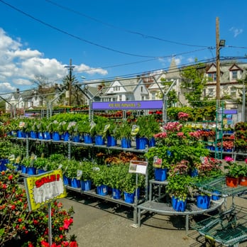 Orange Garden Center - Perennial selection is AMAZING!! - Nurseries & Gardening Near Me - Orange, New Jersey Orange Garden Center - Perennial selection is AMAZING!! - Nurseries & Gardening Near Me - Orange, New Jersey