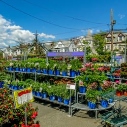 Orange Garden Center - Perennial selection is AMAZING!!