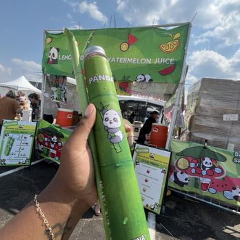 Panda Festival - Festivals Near Me Panda Festival - Festivals Near Me