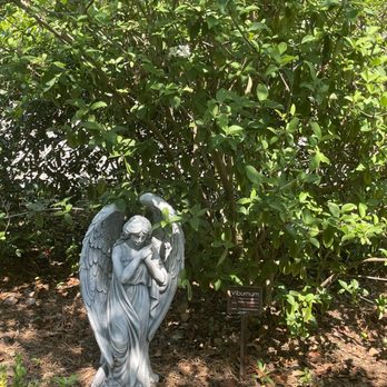 Corner Stone Gardens - Community Gardens Near Me - Mobile, Alabama