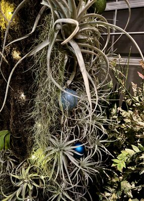 Daniel Stowe Conservancy by null