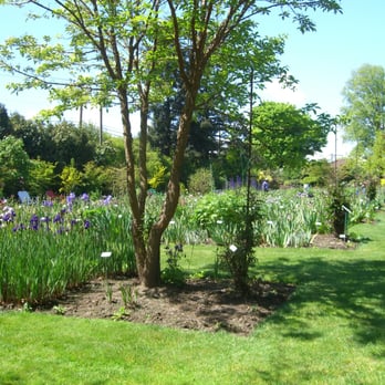Schreiner's Iris Gardens - Part of the gardens - Nurseries & Gardening Near Me - Salem, Oregon Schreiner's Iris Gardens - Part of the gardens - Nurseries & Gardening Near Me - Salem, Oregon