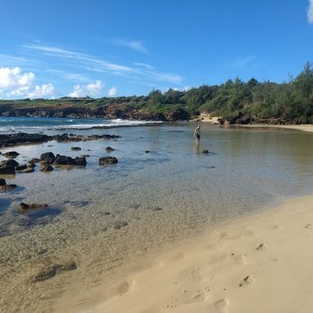 Gillin's Beach - high bacteria counts causing illness in the water doesn't deter this person from wading - Beaches Near Me - Poipu, Hawaii Gillin's Beach - high bacteria counts causing illness in the water doesn't deter this person from wading - Beaches Near Me - Poipu, Hawaii