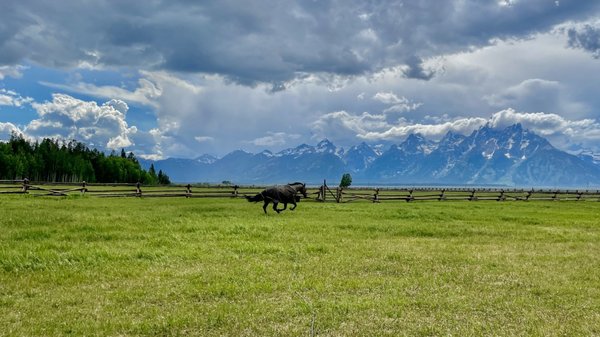 Lost Creek Ranch & Spa by null