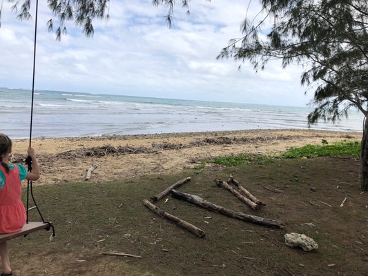 Punaluʻu Beach by null