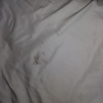 Econo Lodge - Sheet on other bed. - Hotels Near Me - Elkhart, Indiana Econo Lodge - Sheet on other bed. - Hotels Near Me - Elkhart, Indiana