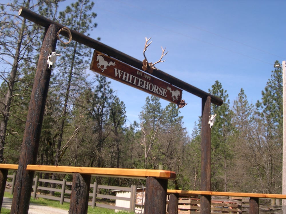WHITEHORSE RANCH & FEED Updated July 2024 16558 Frenchtown Rd