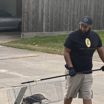 Kirksey Pest Control - Possum removal - Pest Control Near Me Kirksey Pest Control - Possum removal - Pest Control Near Me