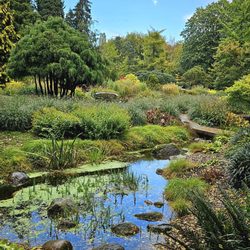 Loki-Schmidt-Garten
