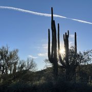 SPUR CROSS RANCH CONSERVATION AREA - 202 Photos & 44 Reviews - 44000 N ...