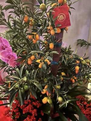 The Mansion at MGM by null