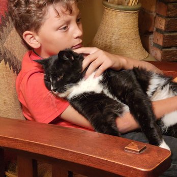 Keri's Kritter Kare & More - Pet Sitting Near Me - Bisbee, Arizona Keri's Kritter Kare & More - Pet Sitting Near Me - Bisbee, Arizona