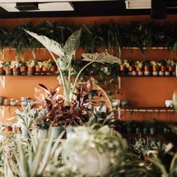 The Growing Groves Plant Shop