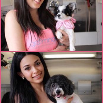 Groomingtails's Spa - Pet Groomers Near Me