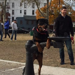 Dyker Beach Park Dog Run