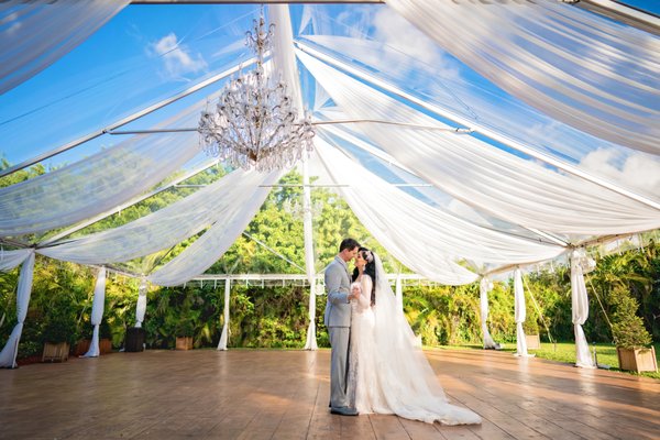 Secret Gardens Miami by null