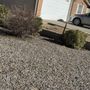 Photo of Oso’s Yards And More